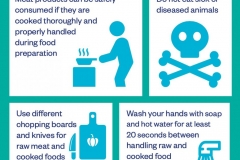 covid-19-guidance-for-ship-operators-for-the-protection-of-the-health-of-seafarers-v2_pdf__page_23_of_47_ covid-19-guidance-for-ship-operators-for-the-protection-of-the-health-of-seafarers-v2_pdf__page_23_of_47_