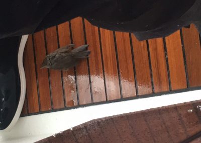 sailing holidays yacht charter bareboat rent a boat